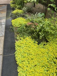 6月梅雨入り発表。