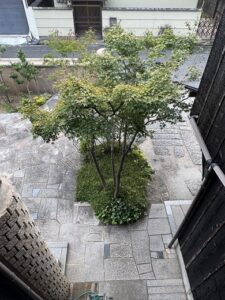 10月は、紅葉はいつだ？