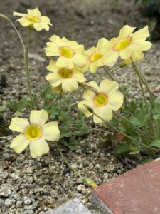 エイプリルフールです。